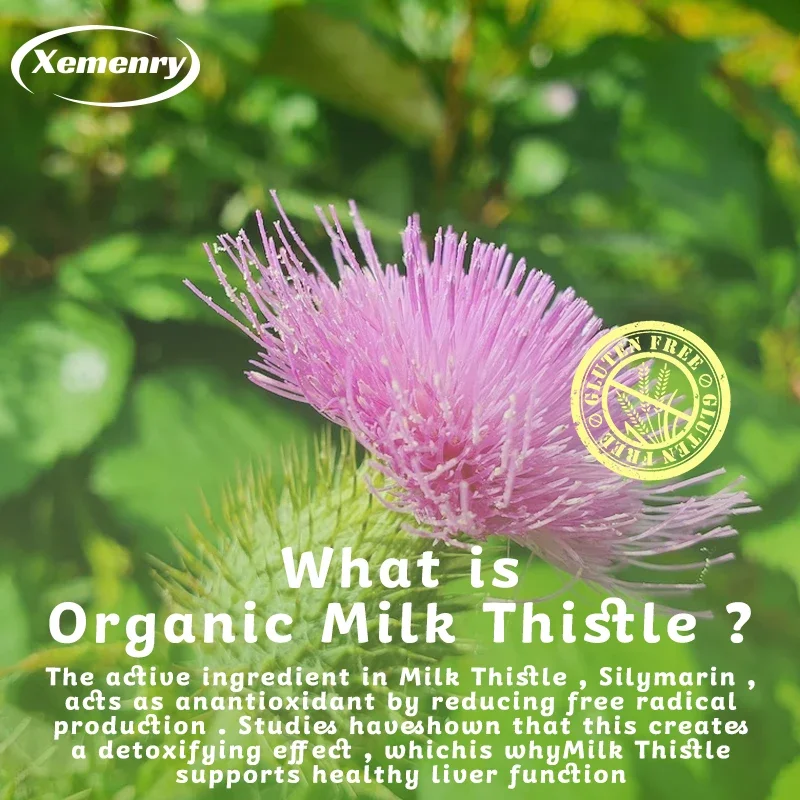 Milk Thistle Capsules 1000mg - - Milk Thistle Silymarin ulasan dan harga