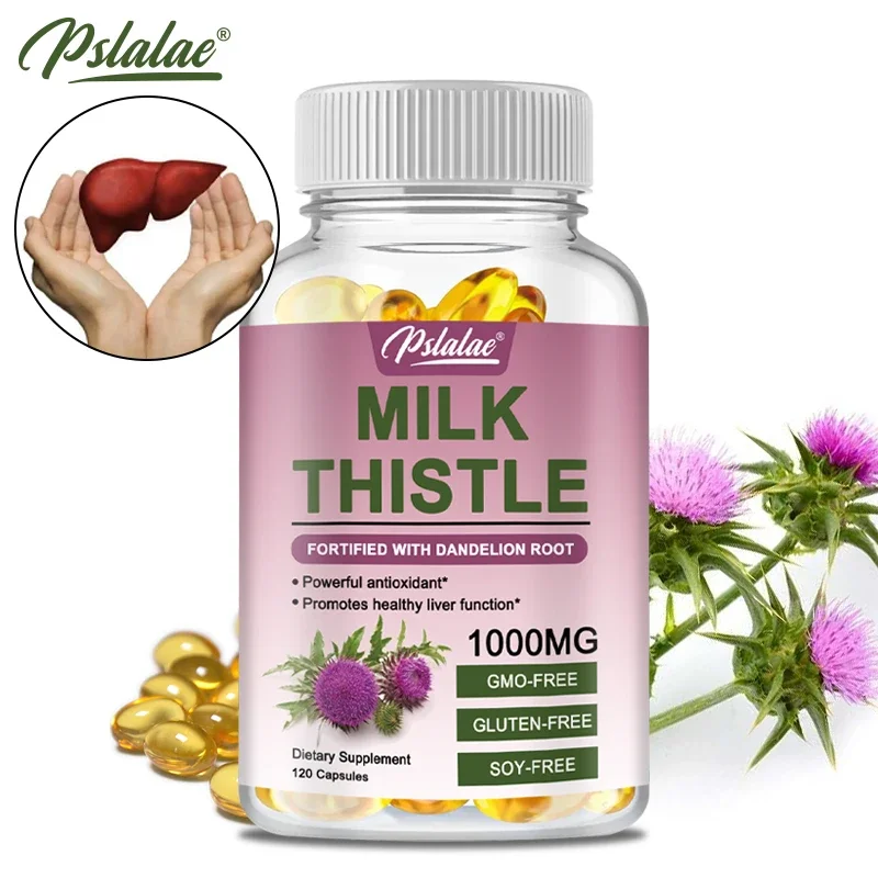Premium Milk Thistle Supplemen - Milk Thistle Silymarin ulasan dan harga